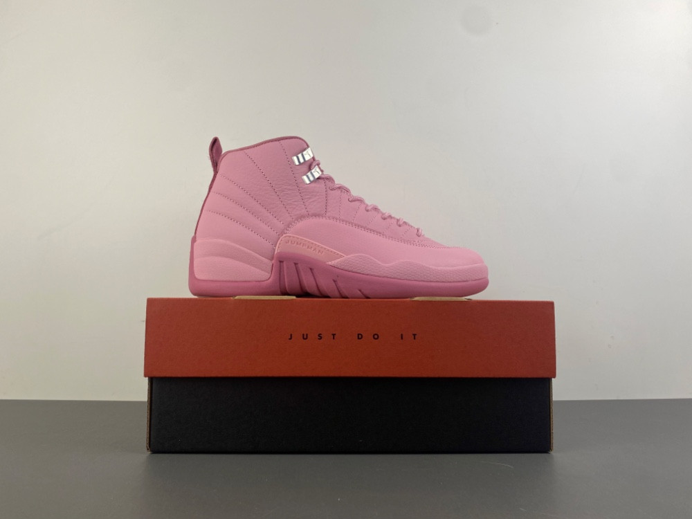 Air Jordan 12